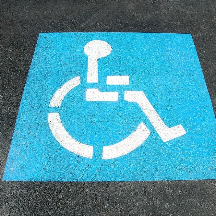 Principios básicos sobre discapacidad y dereho