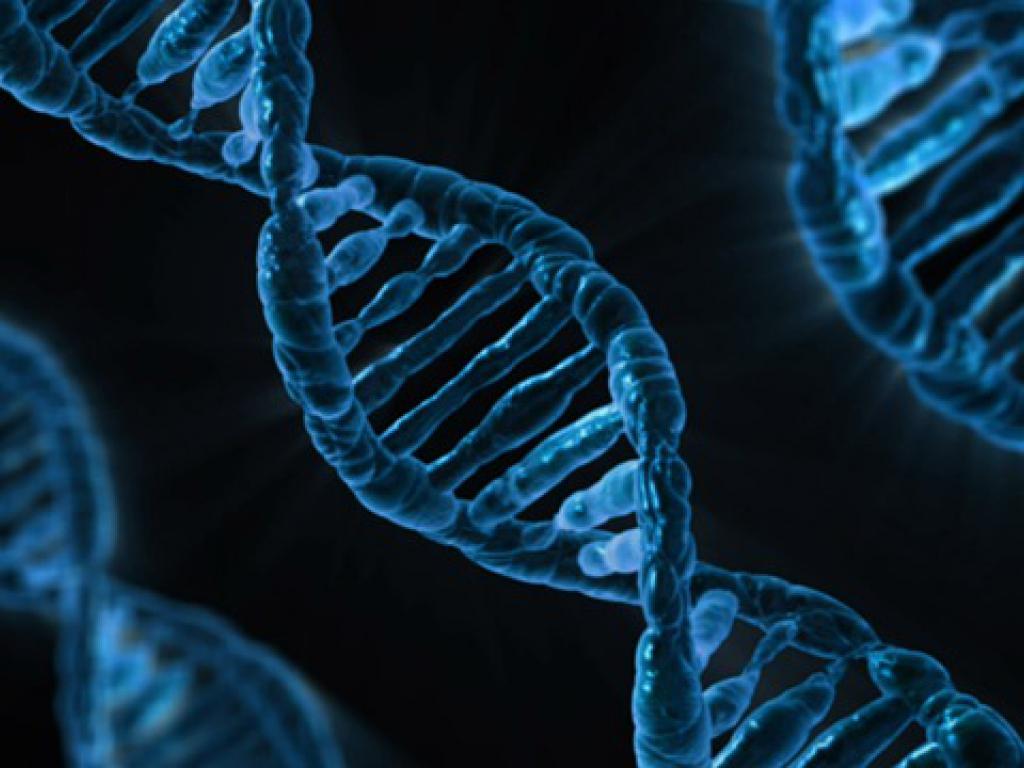 La prueba de ADN en el nuevo Código Civil