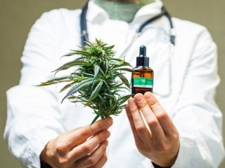 Primer paso para el Cannabis 