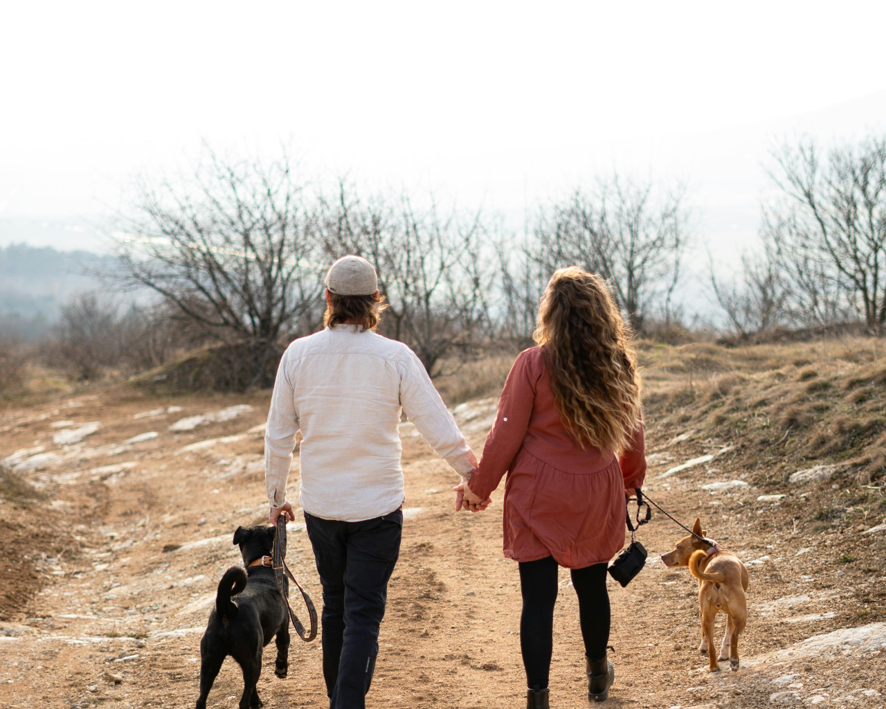 Divorcio con ladridos